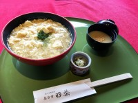 yubadon