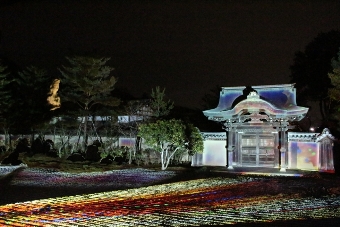 高台寺・プロジェクションマッピングイメージ