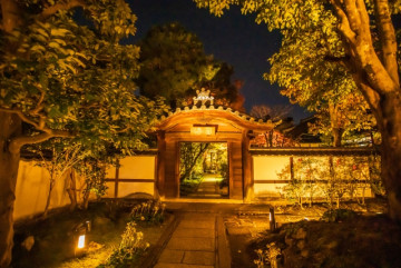 圓徳院夜